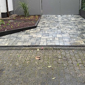 IMG 9983