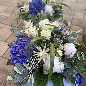 IMG-1946