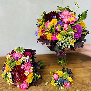 IMG-3322