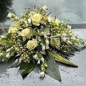 IMG-8672