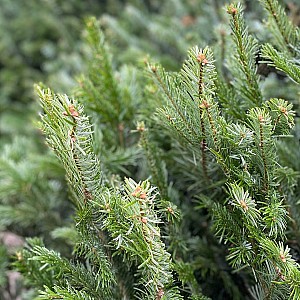 kunde-IMG 7814