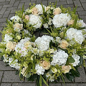 IMG-0907