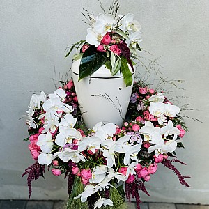 IMG-3332